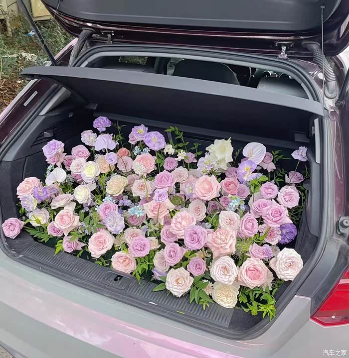 车车的 花花攻略