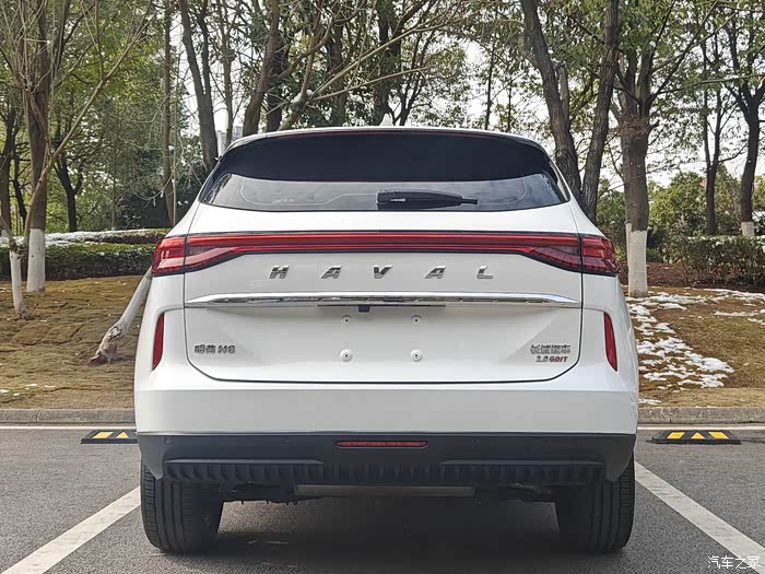 21年哈弗h620自动四驱max