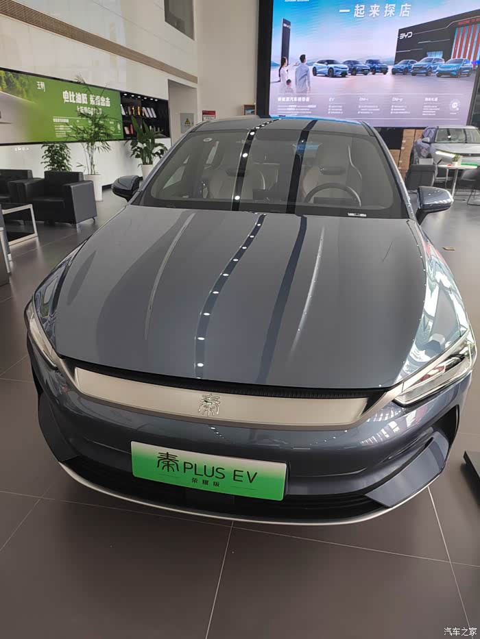 【图】秦plus ev 荣耀版 白柚青实车_秦/秦新能源论坛_汽车之家论坛