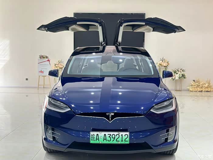 【图】出售一台特斯拉毛豆x美国进口,双翼门!_model x论坛_汽车之家论