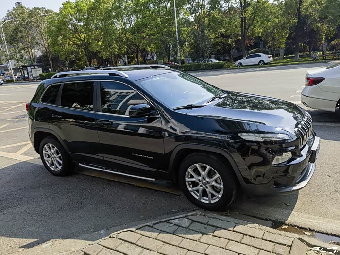 (想着不值钱也没想着_自由光论坛_汽车之家论坛