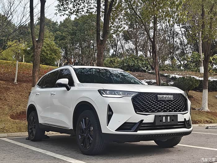 21年哈弗h620自动四驱max