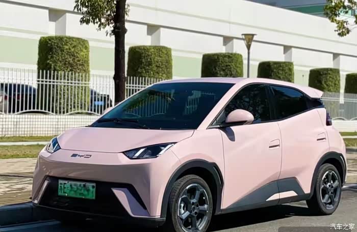 比亚迪 小钢炮 海鸥 车子用了大半年了,总体来说就是很满意!