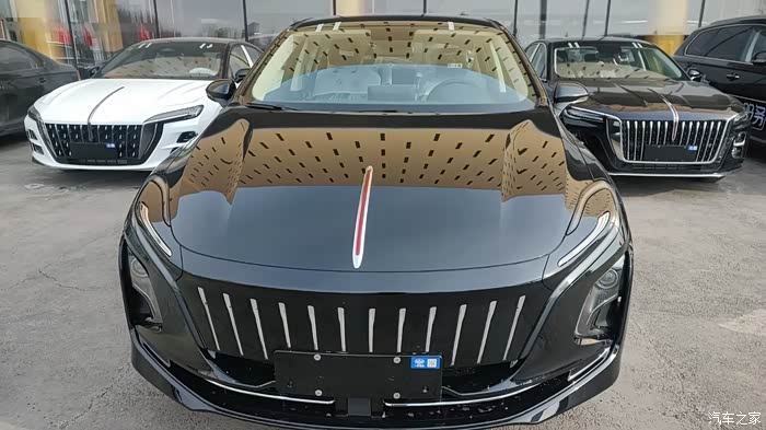 红旗eqm5620kmplus裸车105万保险550