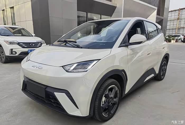 比亚迪海鸥1月获a00级车型和纯电轿车月销冠军成为a00级