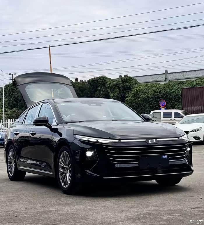 龙腾版b70一枝独秀