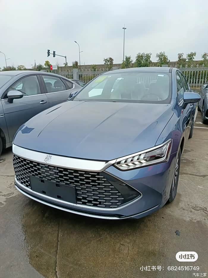 秦plus新上白釉青颜色还是比较好看的