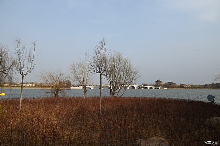 自驾游好去处国家级aaaa景区青岛胶州市少海湿地公园免门票