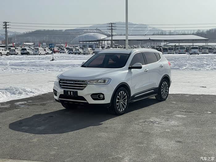 【图】烧机油治理-17款蓝标2.0t哈弗h6烧机油治理_机油论坛_汽车之家