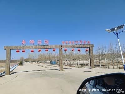 春游#石家庄灵寿木佛庄园
