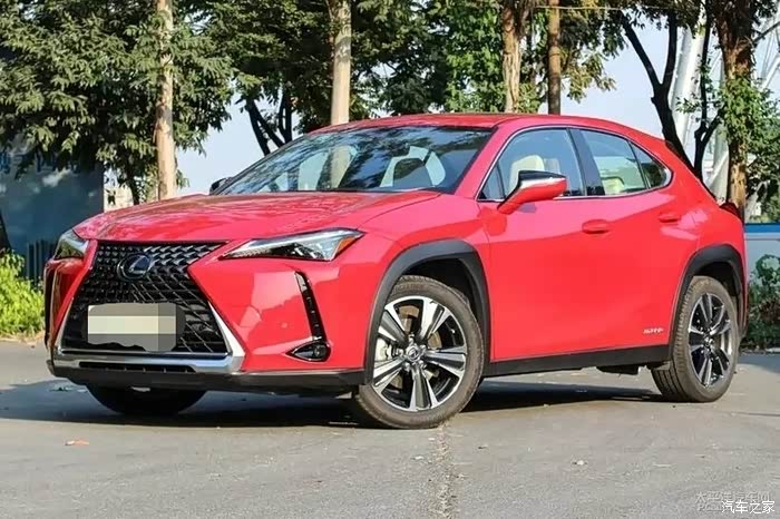 【图】出19年ux260h探趣,瑕疵七个多._雷克萨斯ux论坛_汽车之家论坛