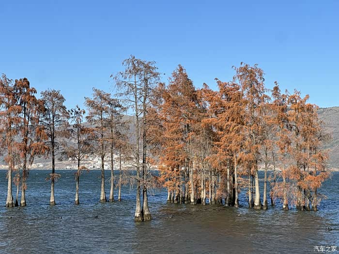 【图】提车一个月，自驾7000公里_零跑C16论坛_汽车之家论坛