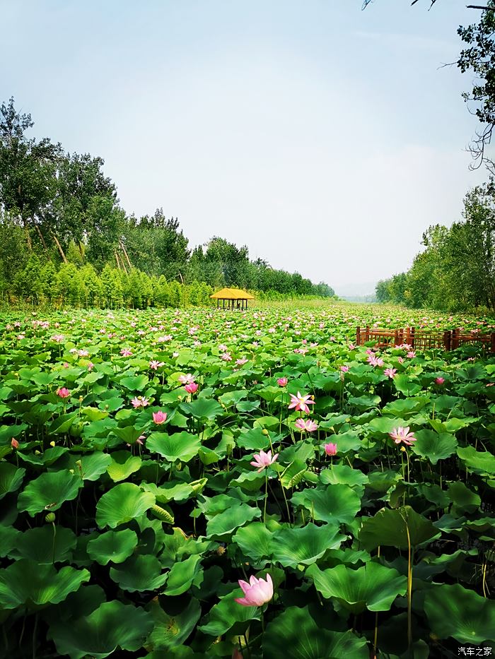 微山县旅游景点有哪些图片