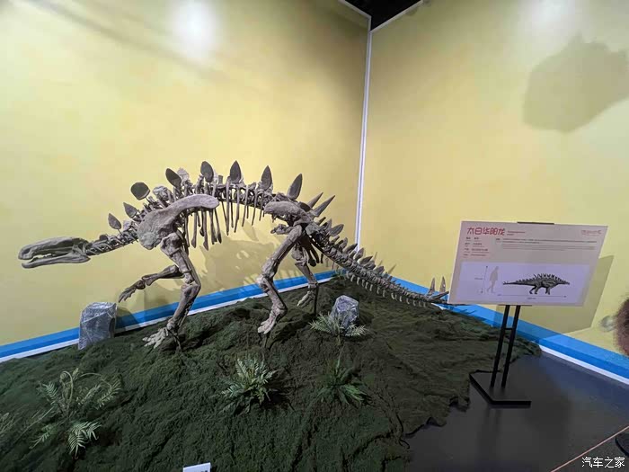 开着梦想家探寻历史的真相