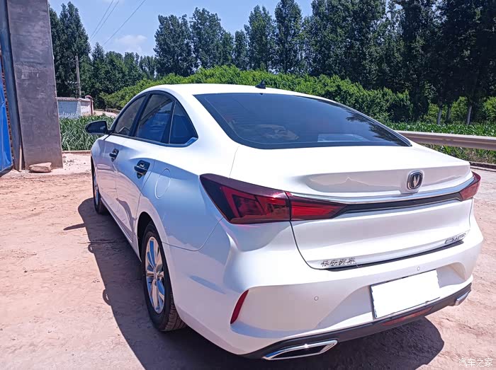 【图】白色与绿色更加搭配!_逸动论坛_汽车之家论坛