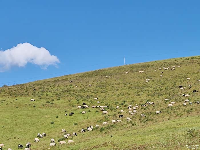 周末出游狼渡湿地草原