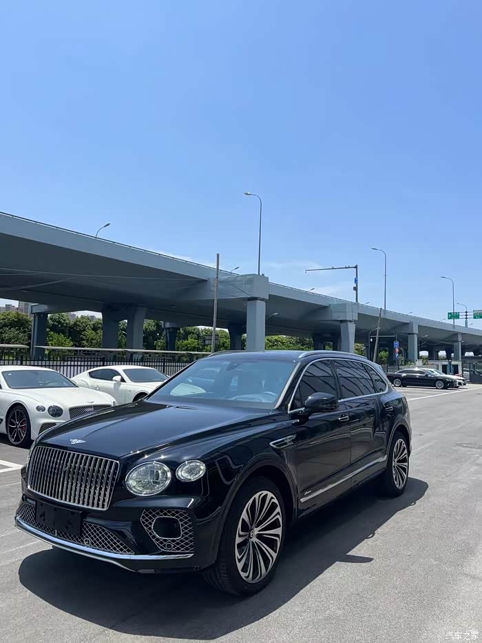 添越长轴距雅度首发限量版 该车辆为添越雅度ewb首发限量版