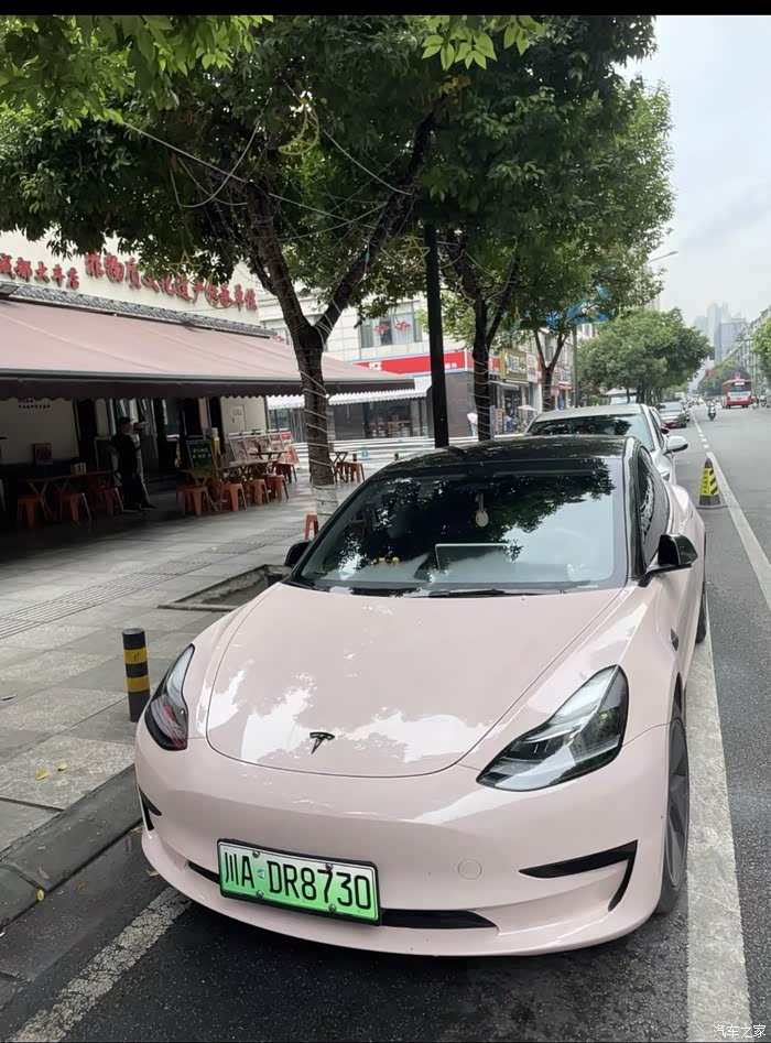 出自家用特斯拉毛豆3一台 自家用的毛豆三,21年12月底买的