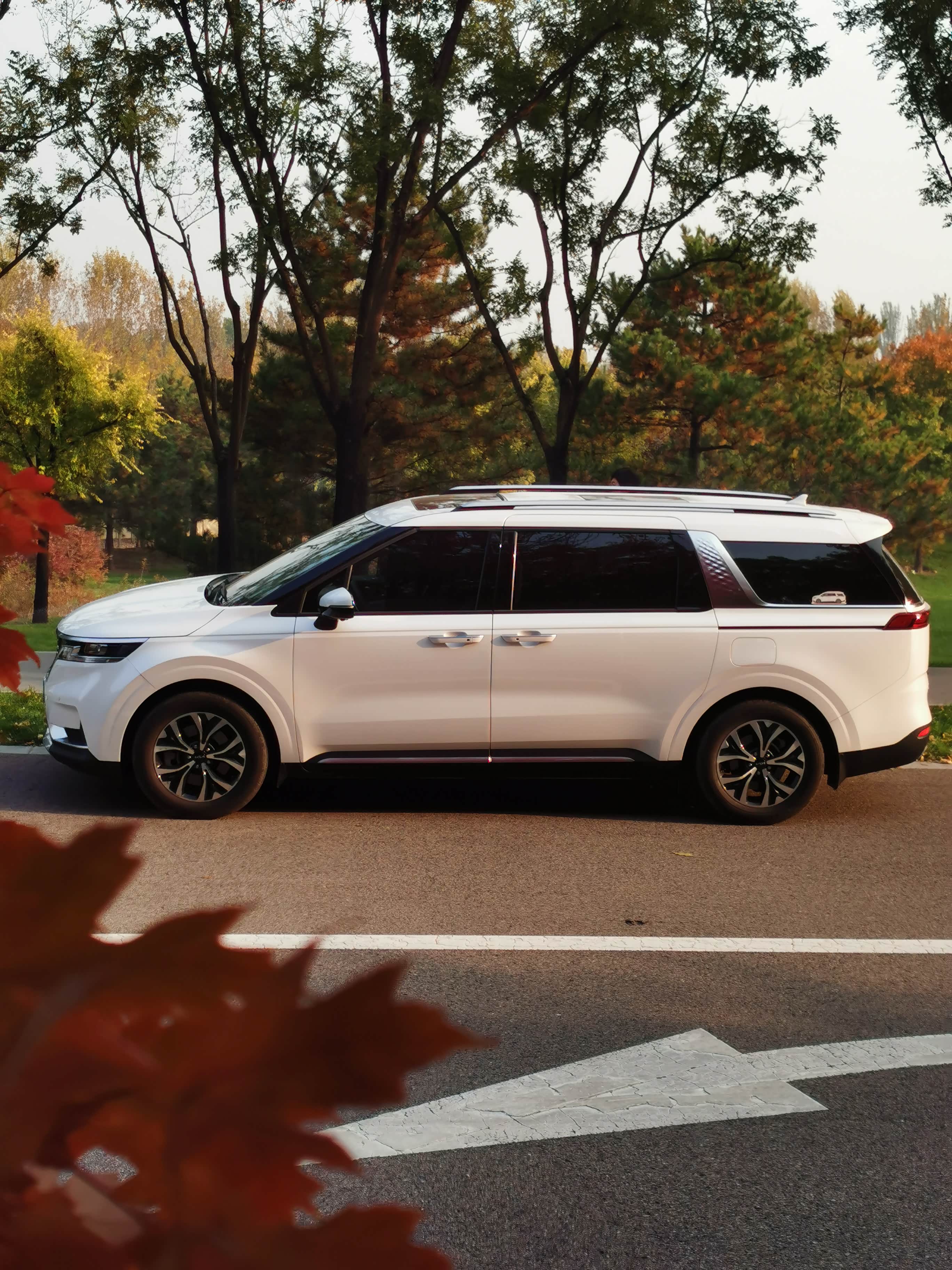 起亚嘉华2021款旗舰版车主吐槽大会