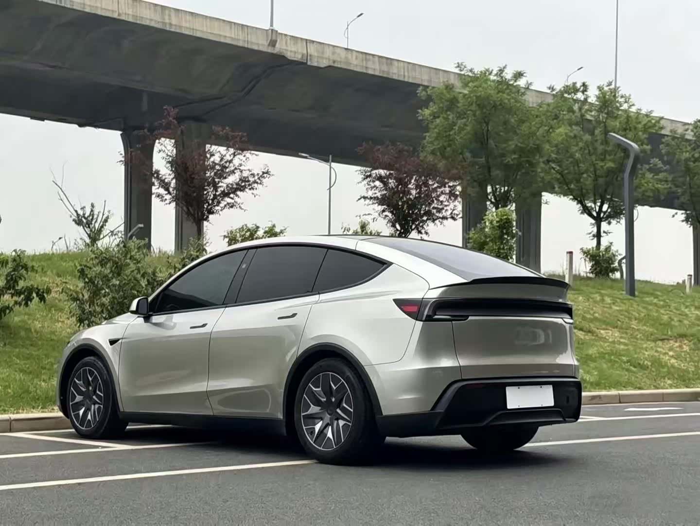 25 12 Model Y L 25 Model Y 25-12-model-y-l-25-model-y