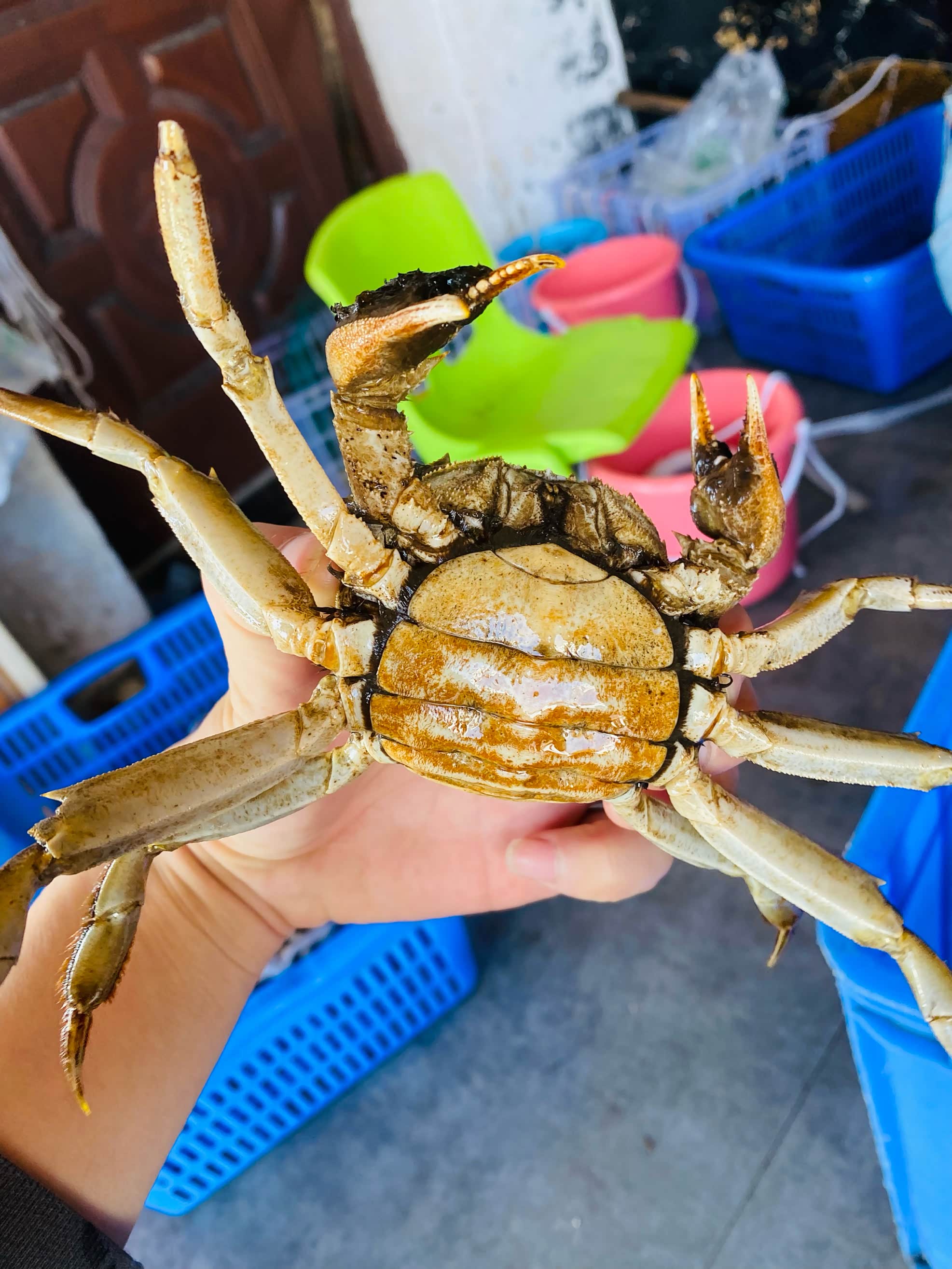 游历史文化名城