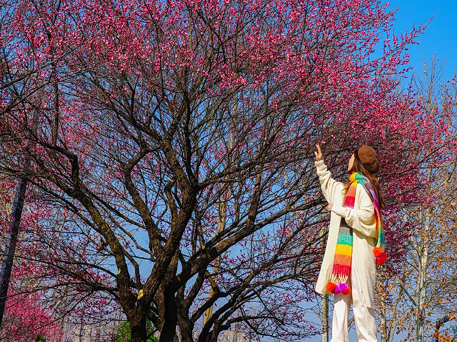 和闺闺去逛长沙后花园，美到犯规