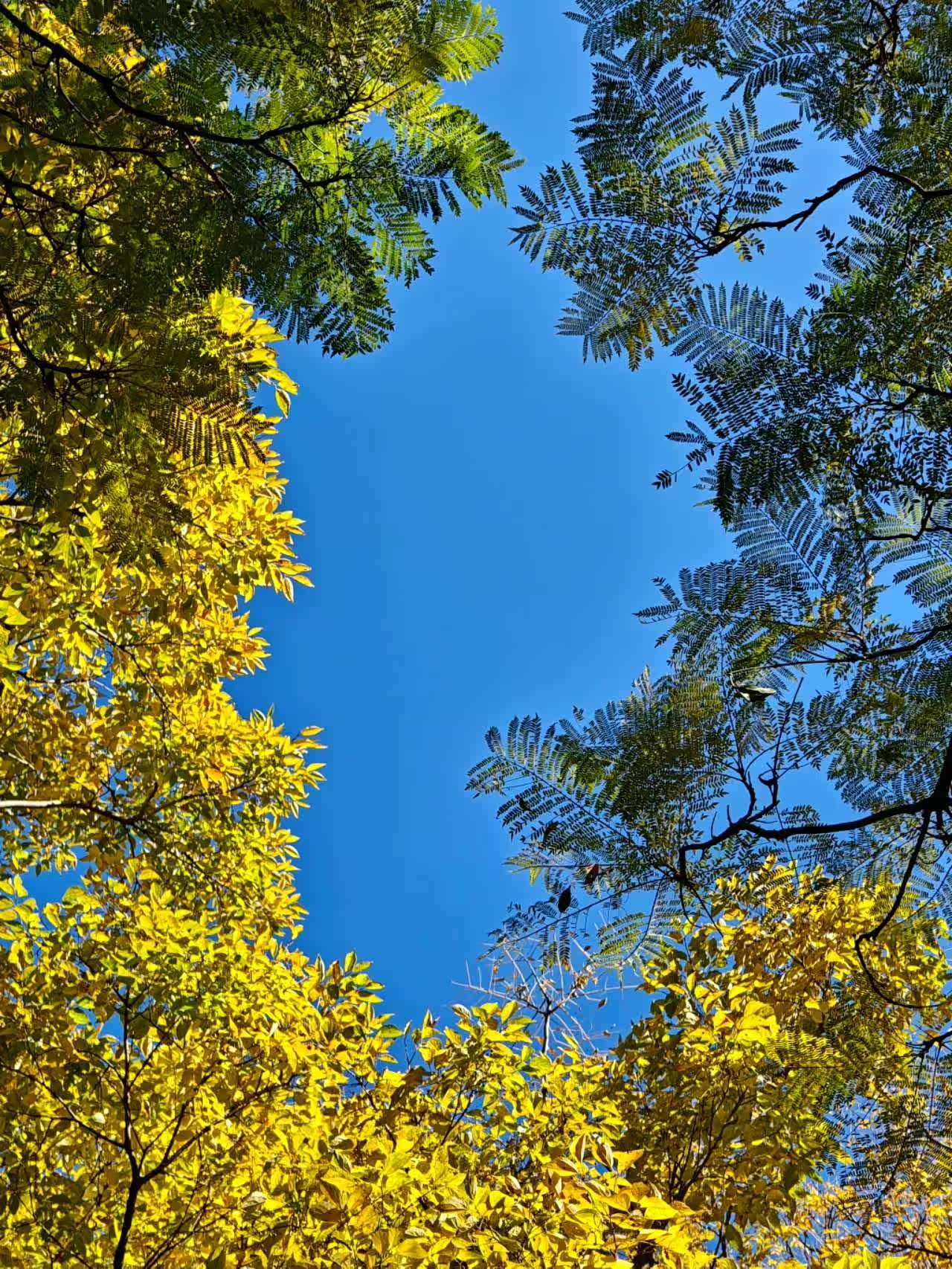 拍下最美的深秋