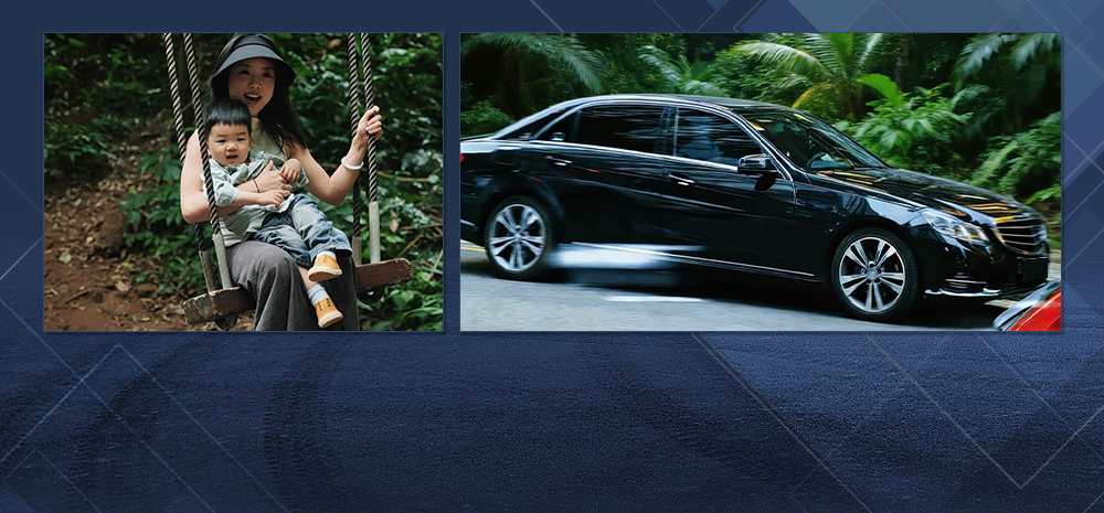 自驾云南 望天树的肩膀触高的呼吸