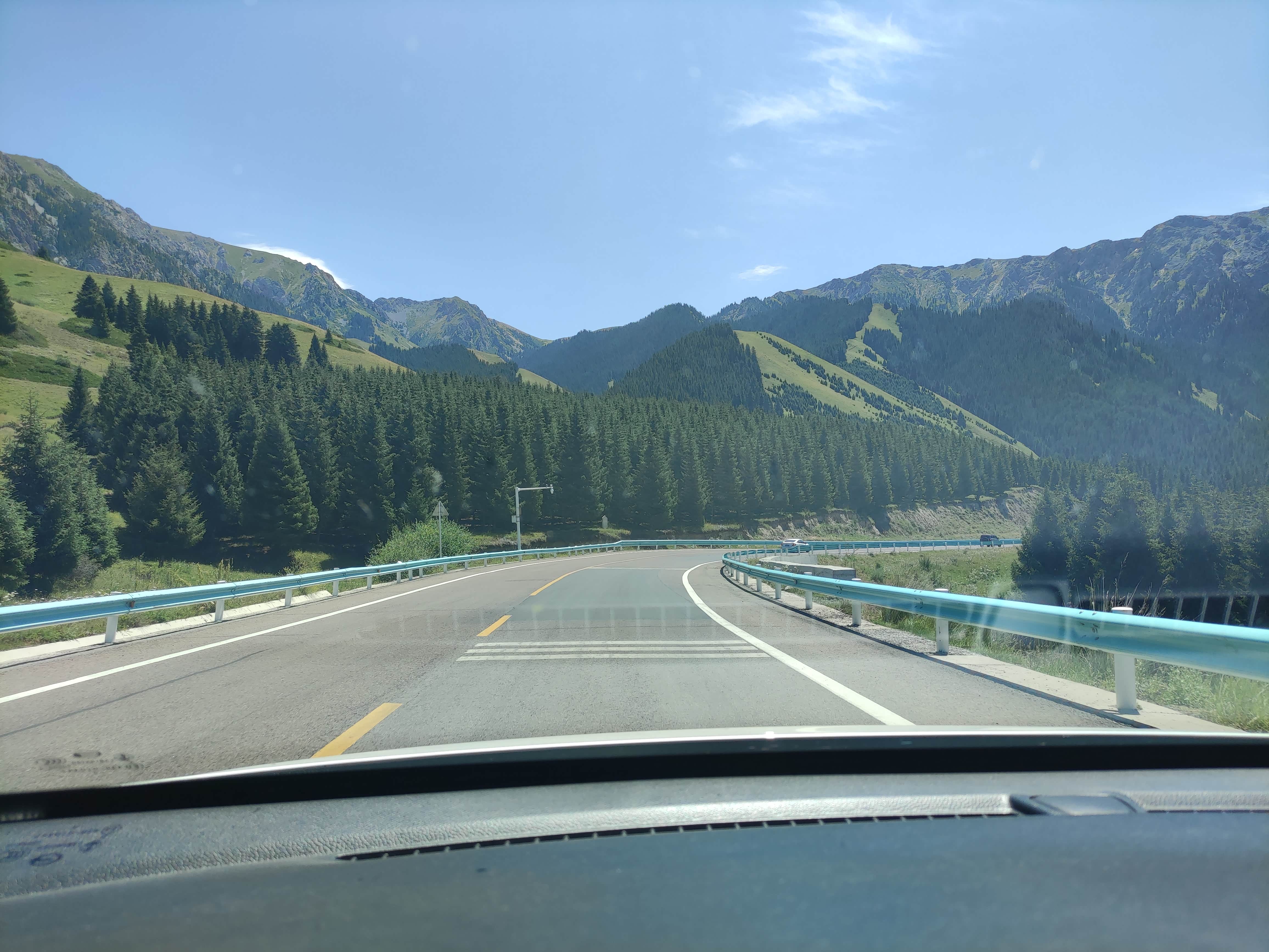 公路两旁成片的云杉林.这是新疆特有的景色