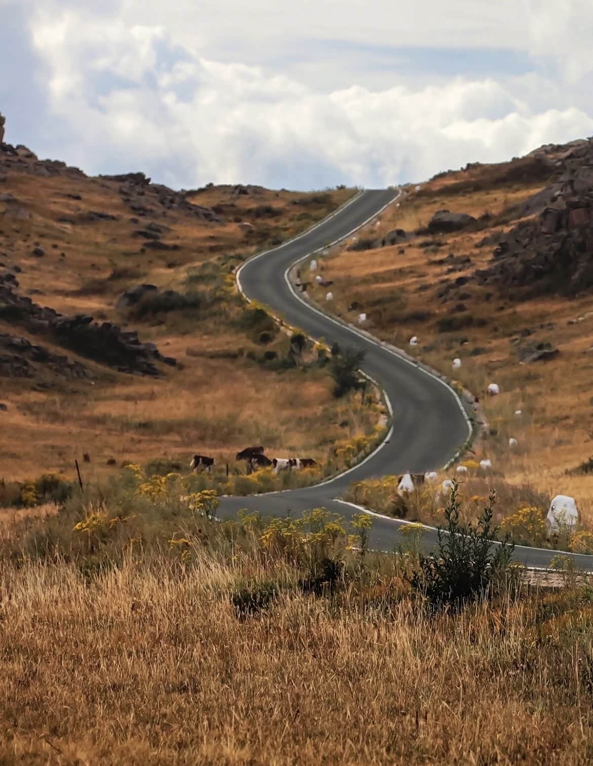 318之旅,一脚油门,公路之王载着野心驾向远方