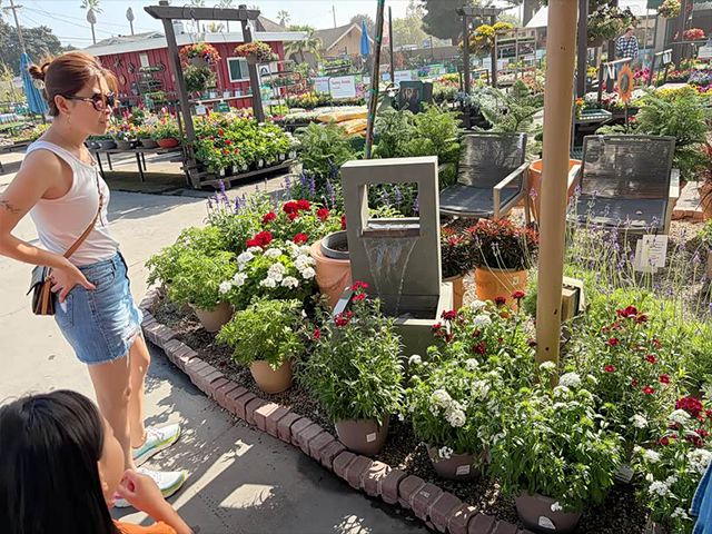 开宝马X7周末逛美国秋季花草店