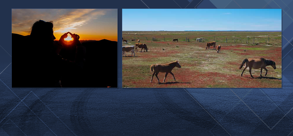 赏秋的绝美地 黄岗梁国家森林公园
