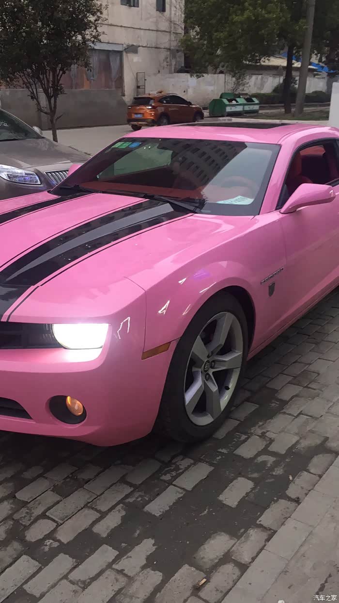 【图】湖北的大黄蜂车主在哪,我们一起出来聚聚_科迈罗论坛_汽车之家