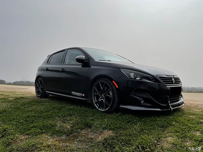 【图】分享黑武士版小狮子the 2～_标致308s论坛_汽车之家论坛