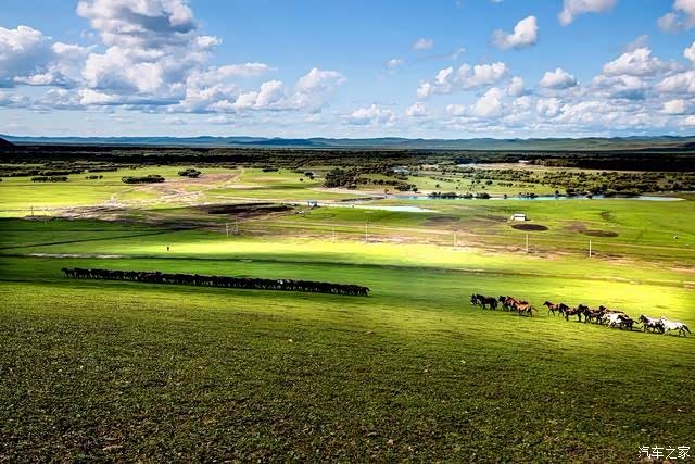 【图】美丽的呼伦贝尔拉布大林农场湿地随拍_摄影论坛_汽车之家论坛