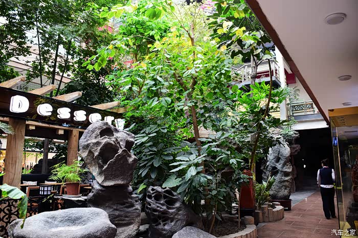 富康梦天堂感受冬天里的春天