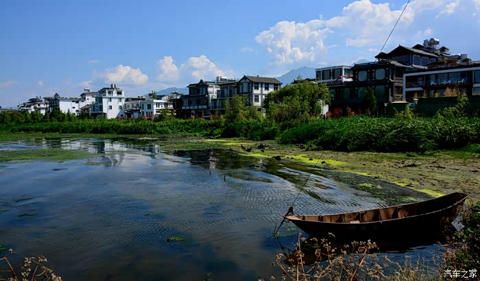 大理看花大理才村一日游记