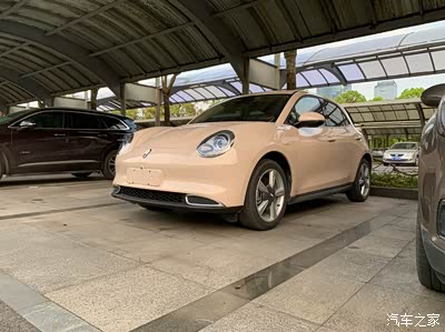 在众多车子中,唯独一辆米色,格外出众,又是被好猫颜值吸粉的一天