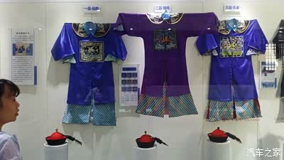 官服分为文官武官各有品文官绣鸟类图案武官为兽类图案