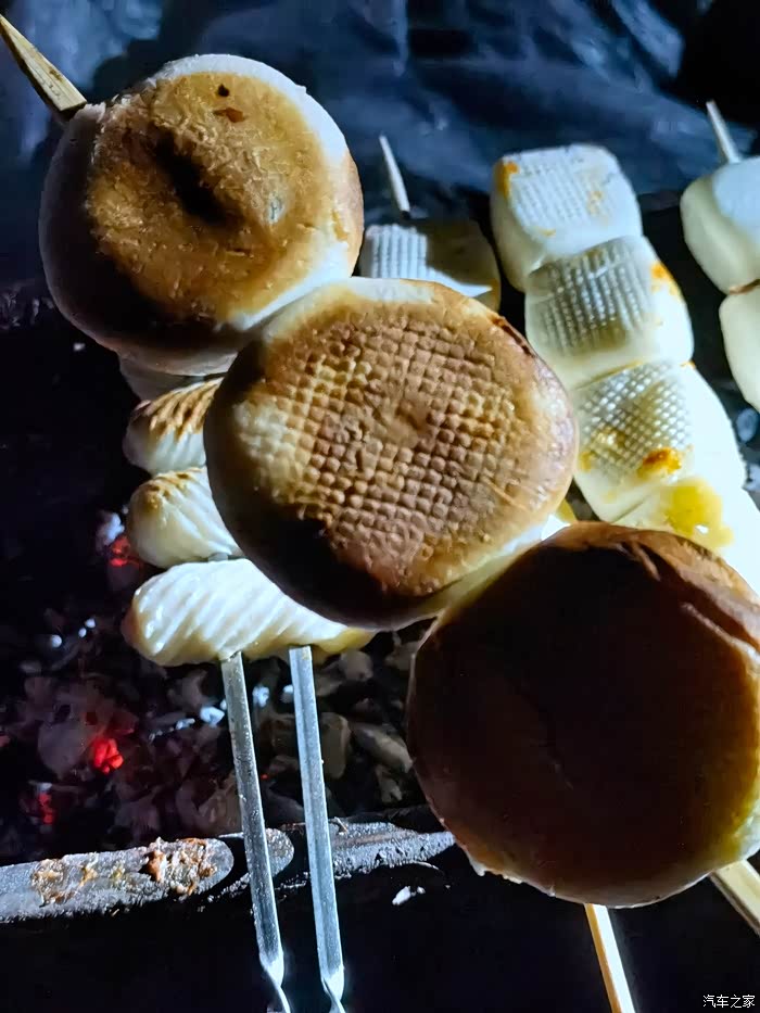 1 明锐论坛 夏日之乐--自驾烧烤走起先上一个孩子们烤制的红豆饼