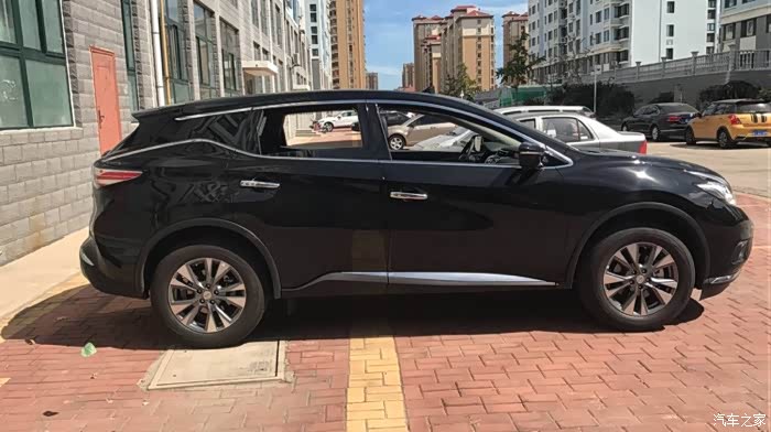 黑楼兰改色哑光灰