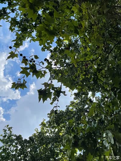 我想把整个秋天送给你 逸动plus