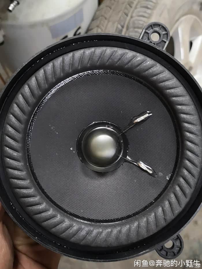 大神帮忙看一下,这几个博士喇叭是真假