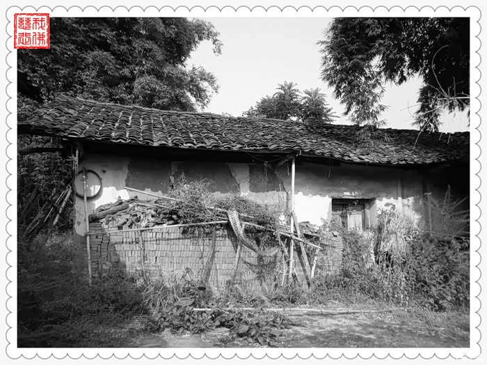 支持重庆论坛黑白相片之当今农村纪实