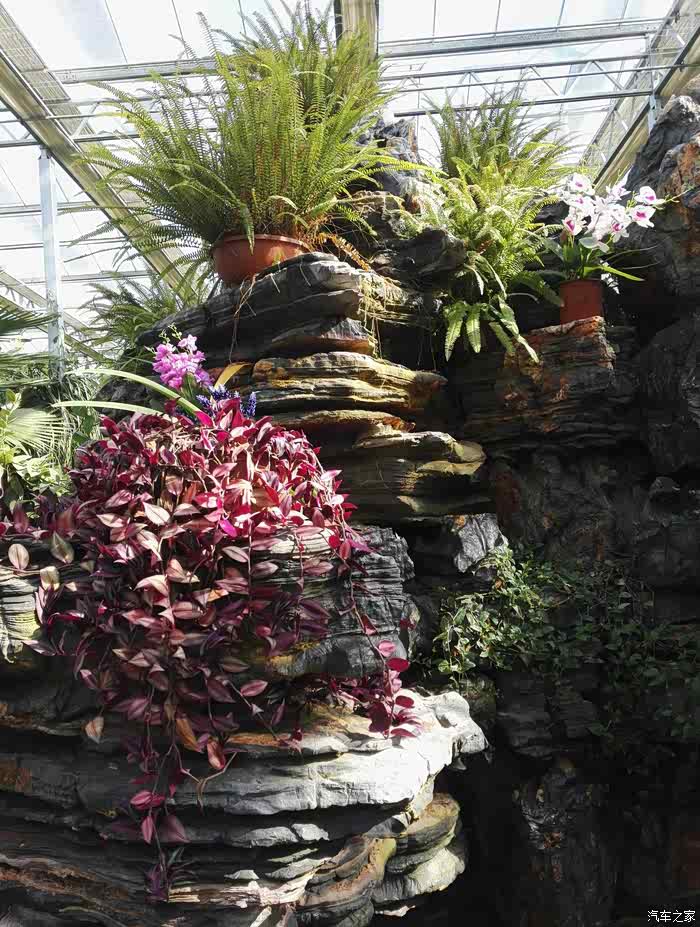 游灵璧县生态园 迟来的帖子求精