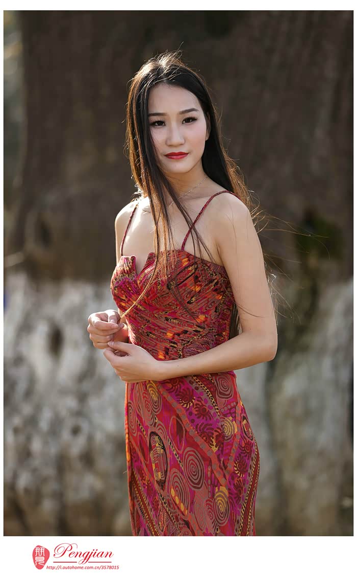 朋见行摄之随州千年银杏美女与古树倾情演绎