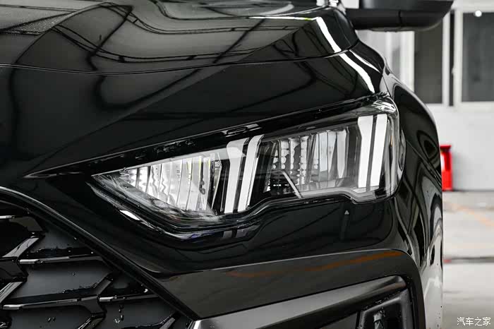 黑色的影豹就像保镖一样安全.