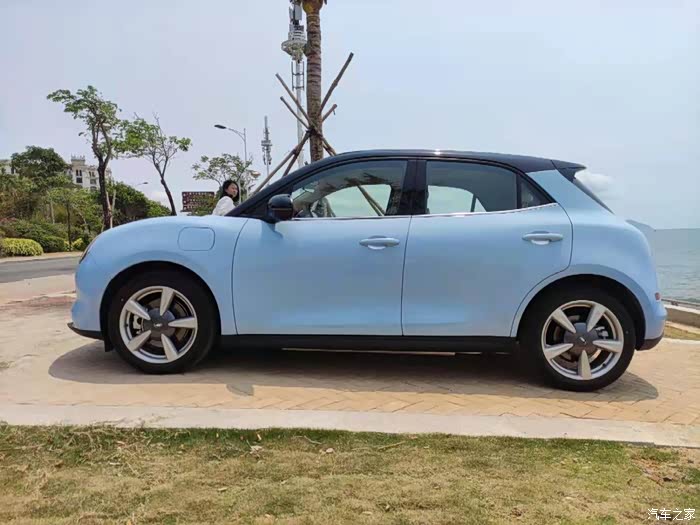 欧拉好猫与蓝色大海的约会