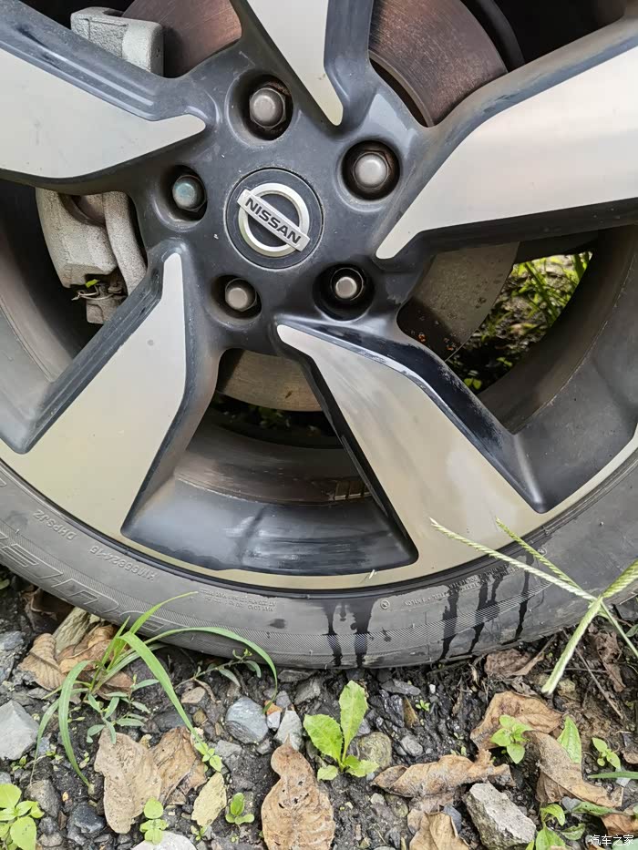 轱辘上渗油了大家帮忙看看