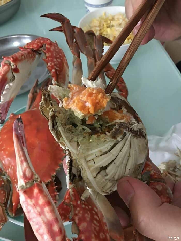 这是你所说的二椅子的肉